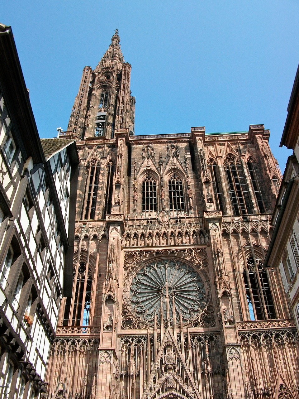 strasbourg cathedral rosette free photo