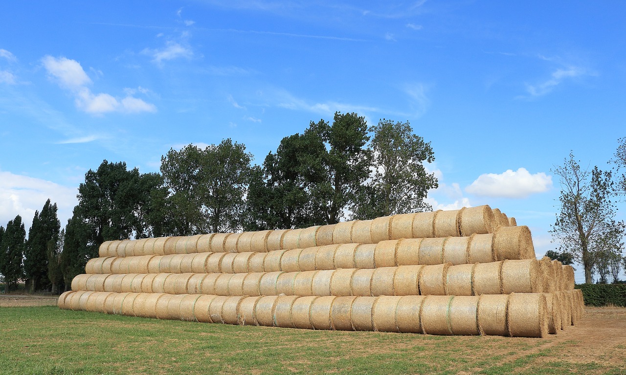 straw straw bales field free photo