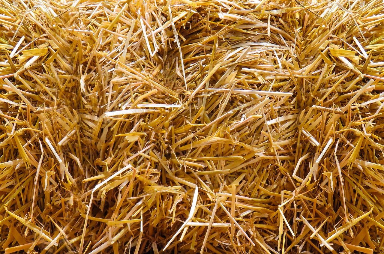 straw autumn straw bales free photo