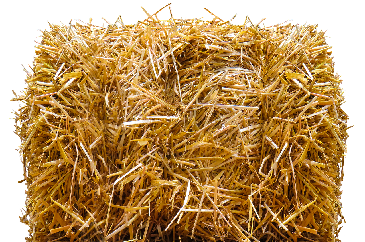 straw straw bales isolated free photo