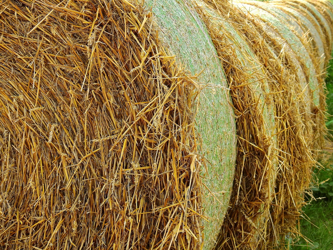 straw field agriculture free photo