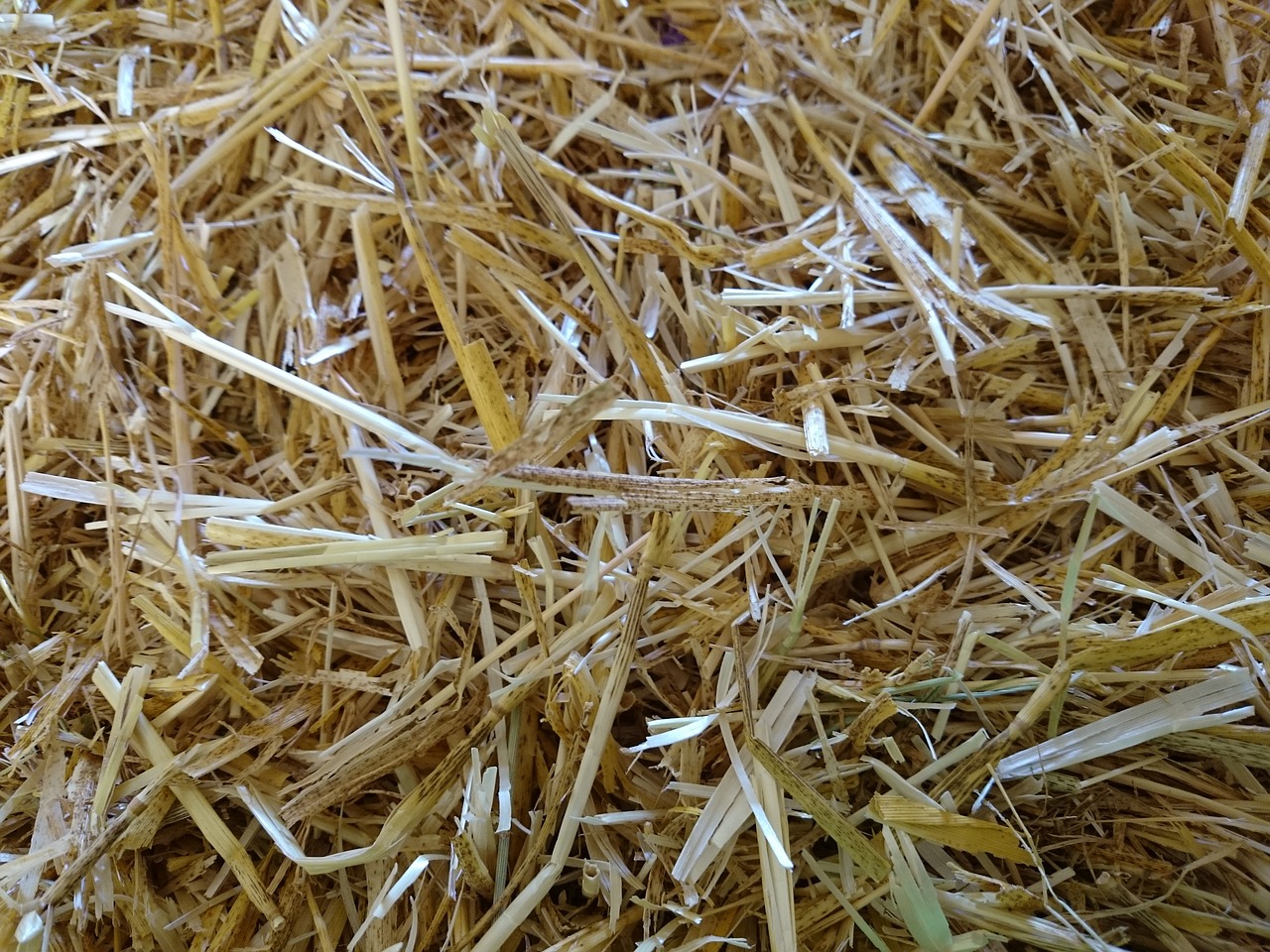 straw hay haystack free photo