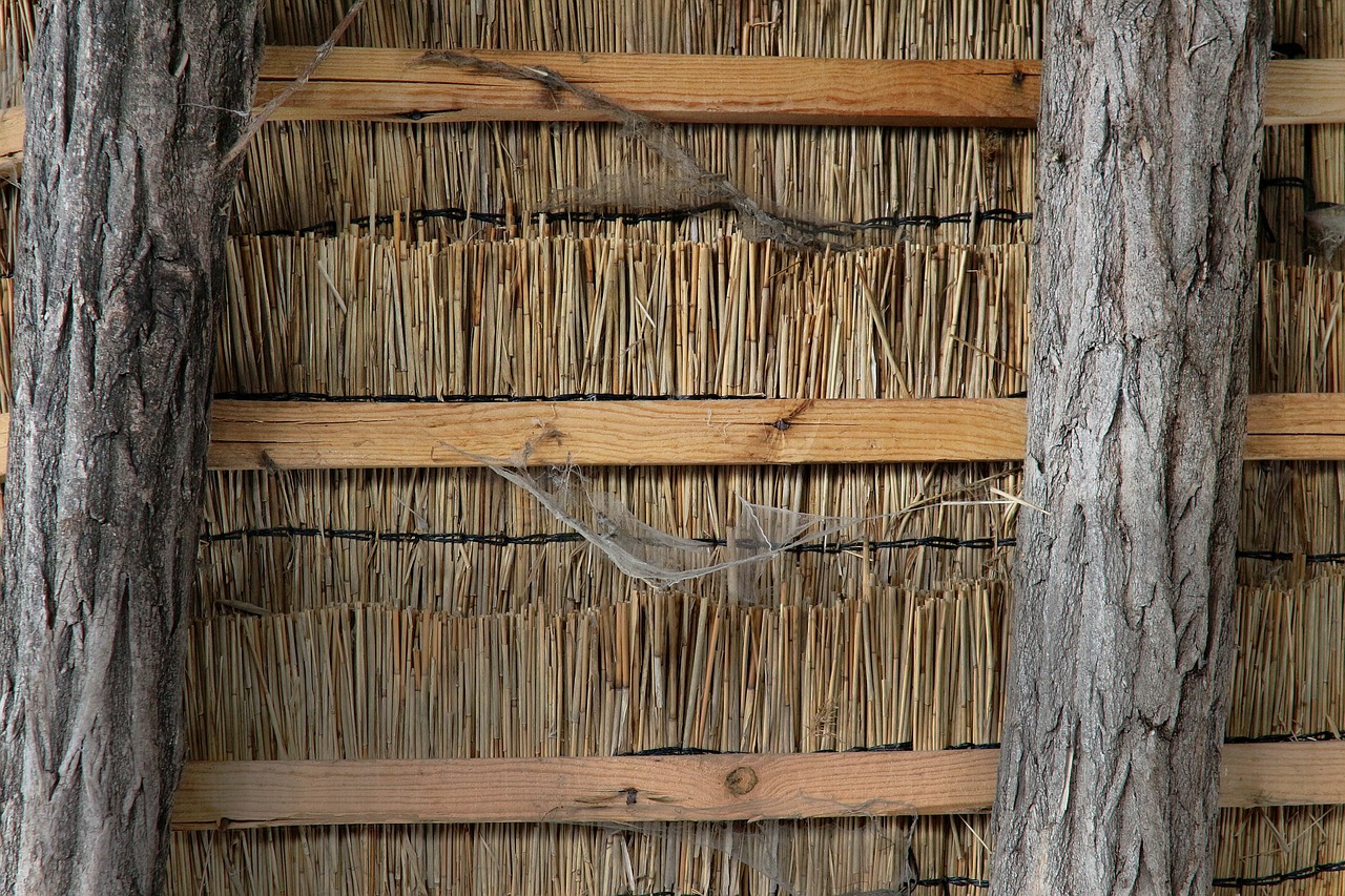 straw hut ethno free photo