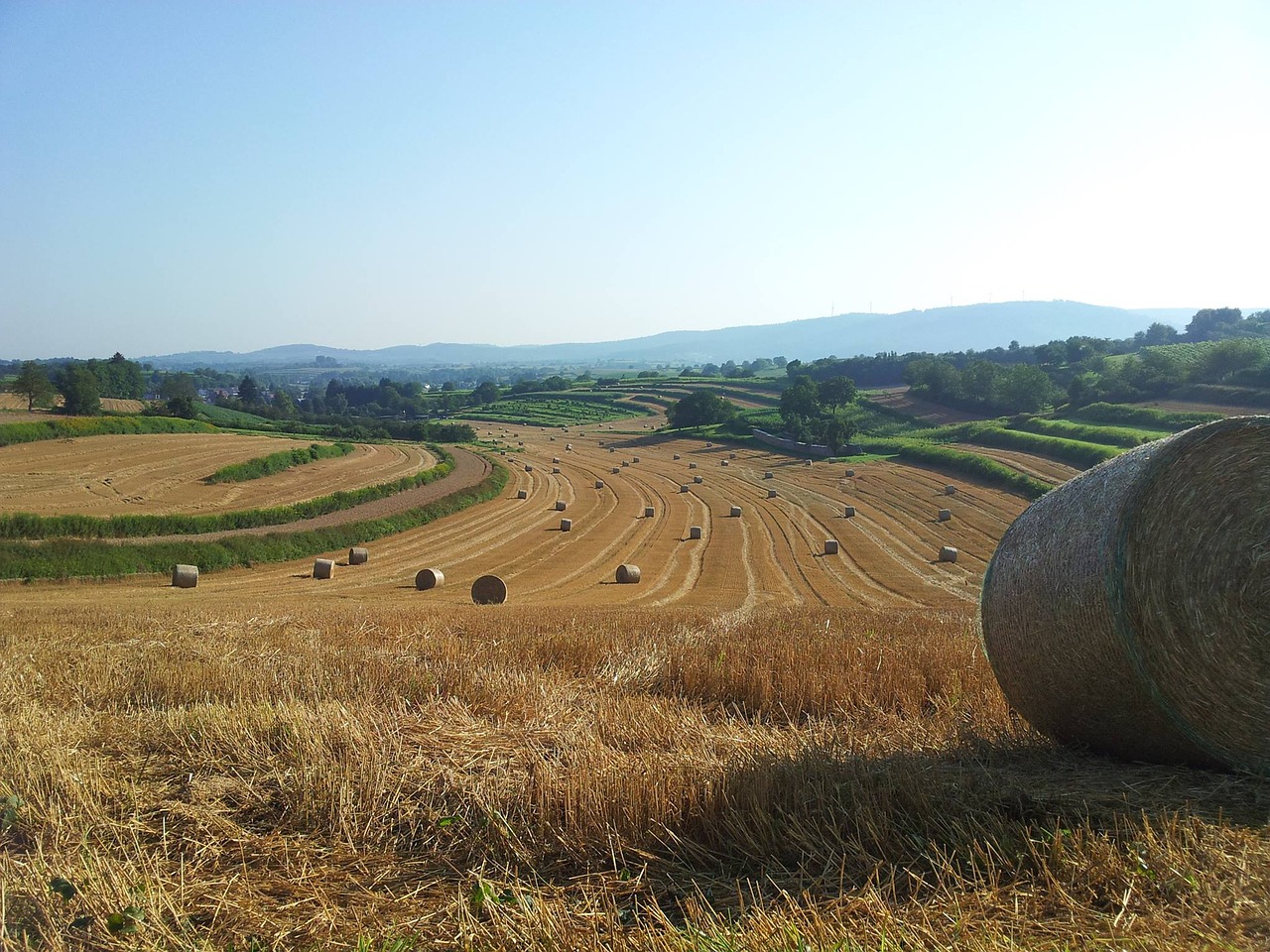 straw autumn straw bales free photo