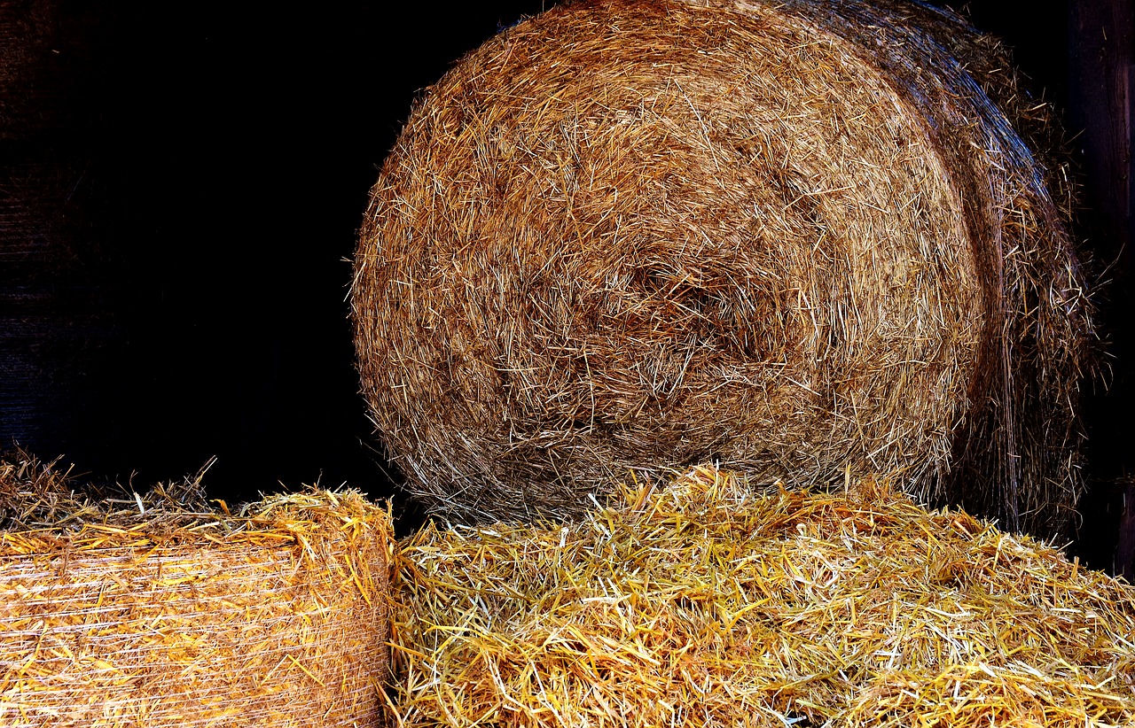 straw straw bales agriculture free photo