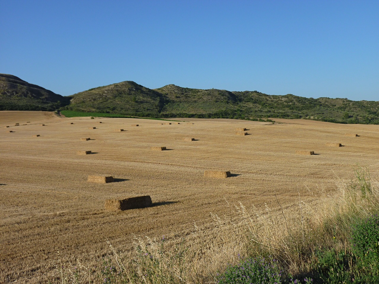 straw agriculture landscape free photo