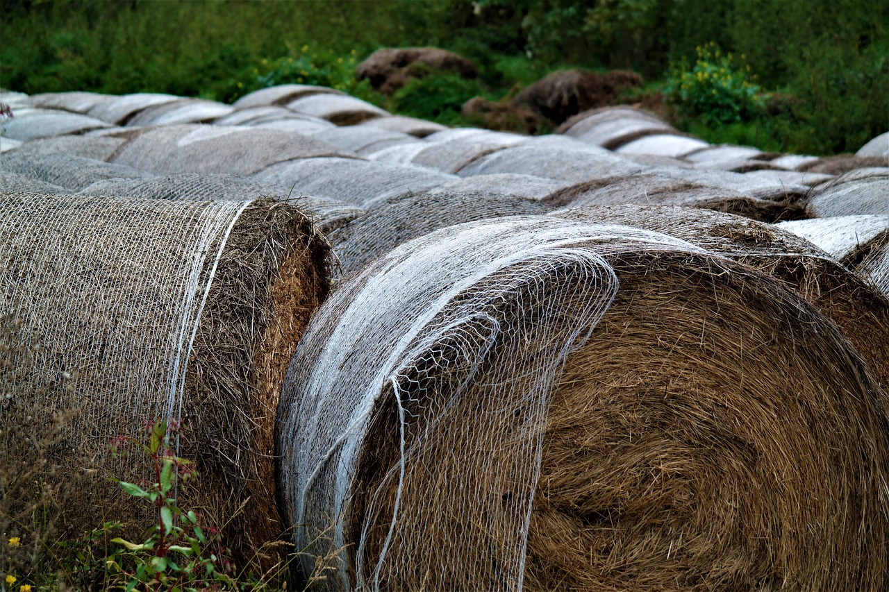 straw bale agriculture free photo