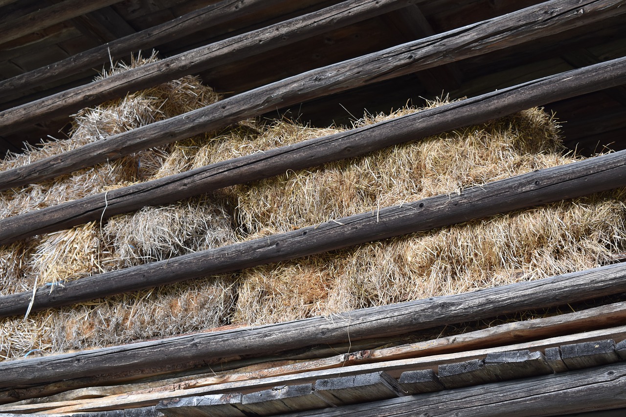 straw scale barn free photo