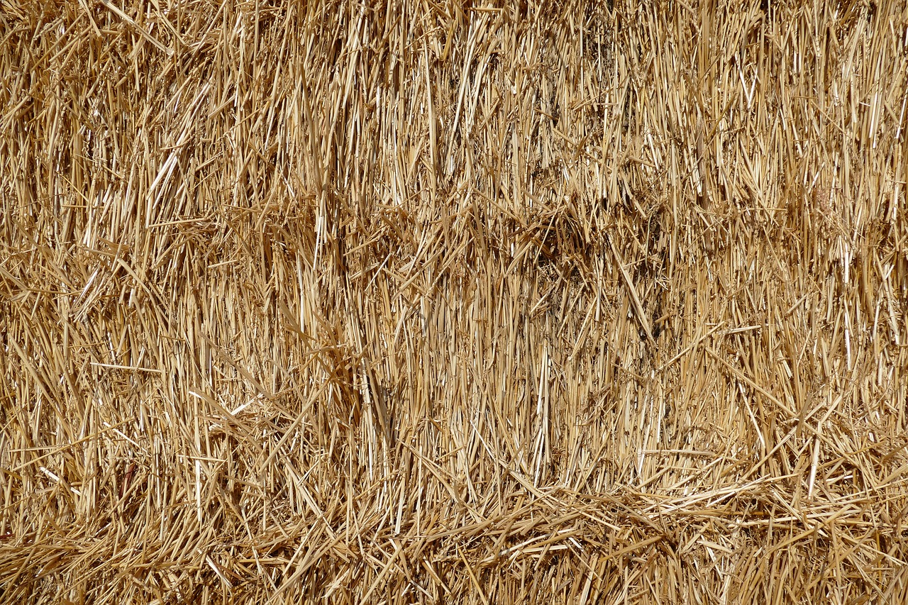 straw  hay  harvest free photo