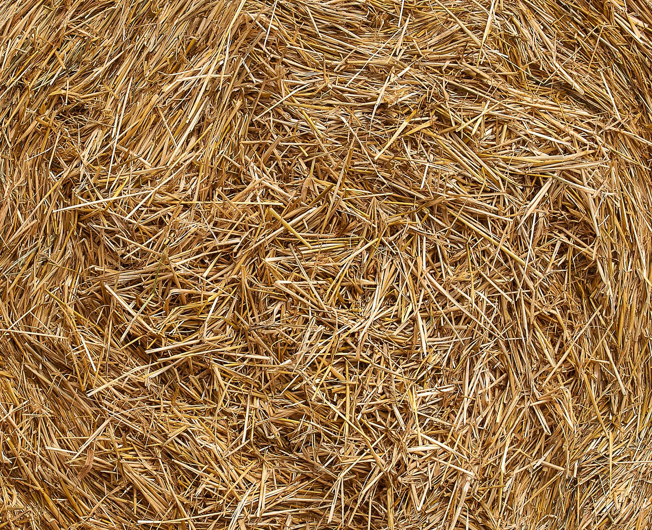 straw  agriculture  background free photo