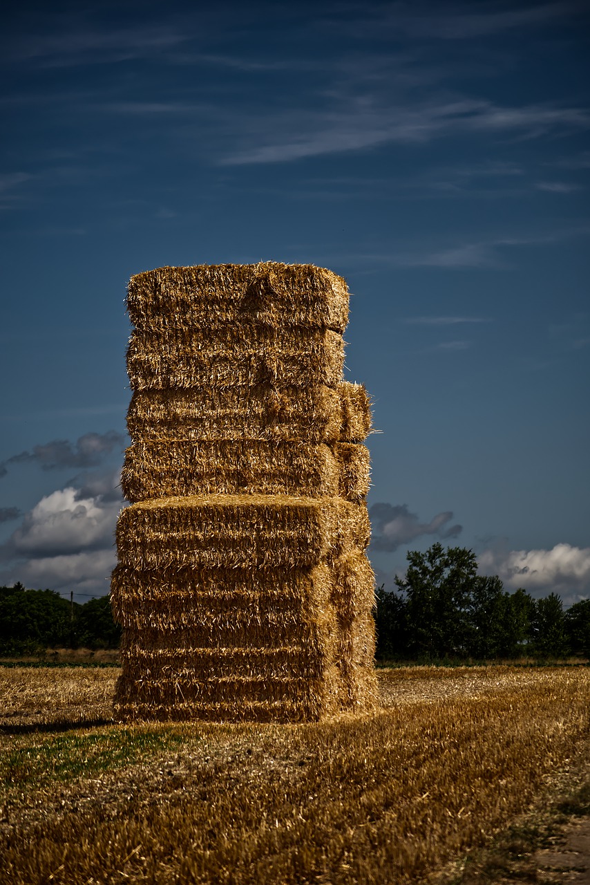 straw  bale  straw bales free photo