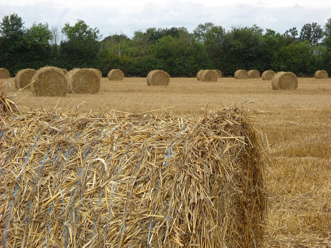 straw harvest agriculture free photo
