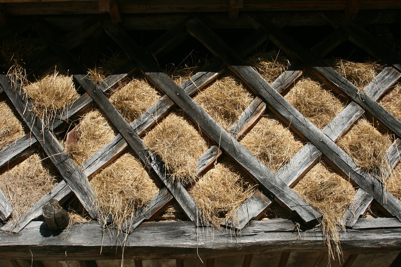 straw hay grange free photo