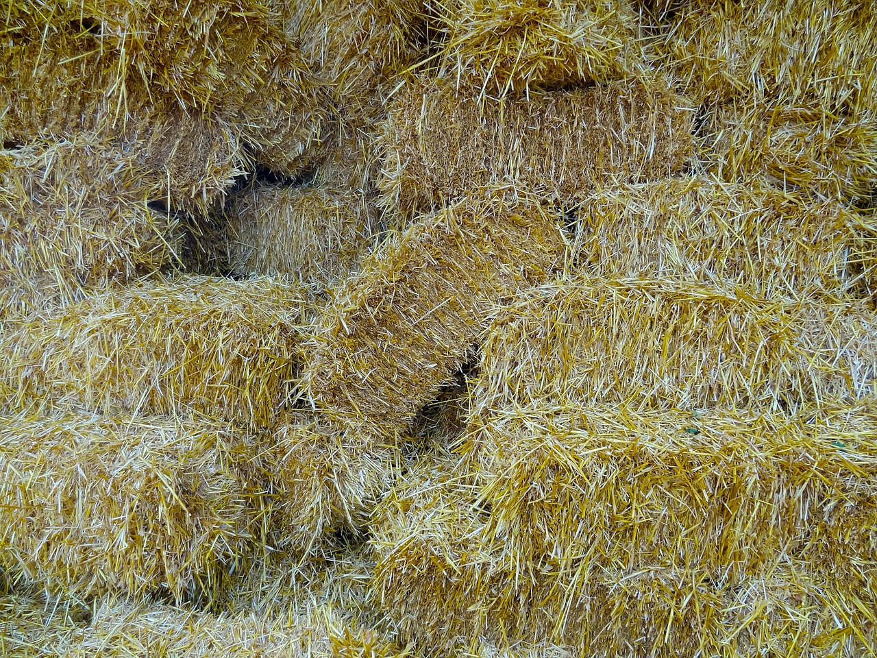 straw straw bales farm free photo