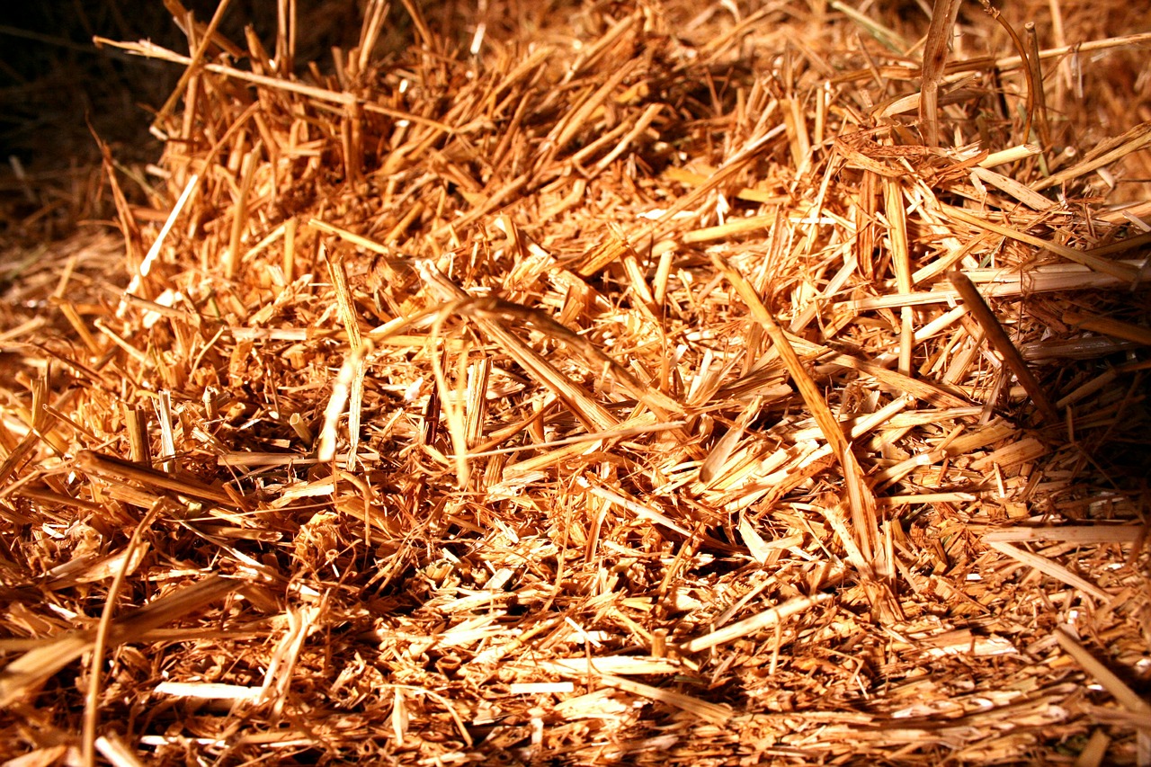 straw straw bales bale free photo
