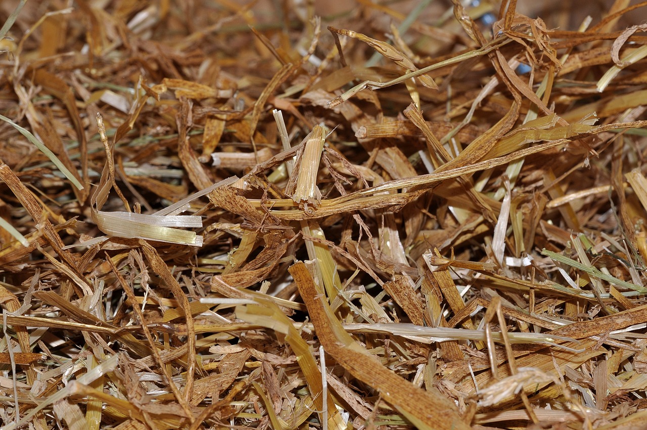 straw litter natural material free photo