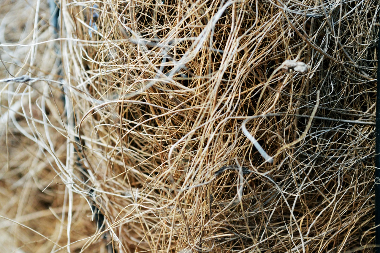 straw texture pattern free photo