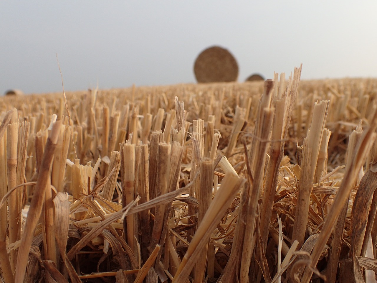 straw package bale of straw free photo