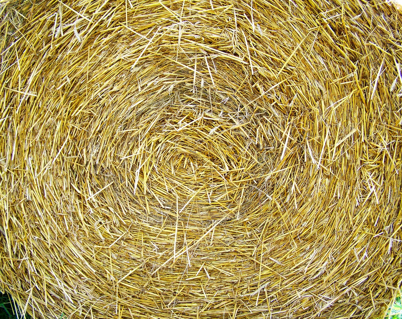 straw bale works compressed grain drying free photo