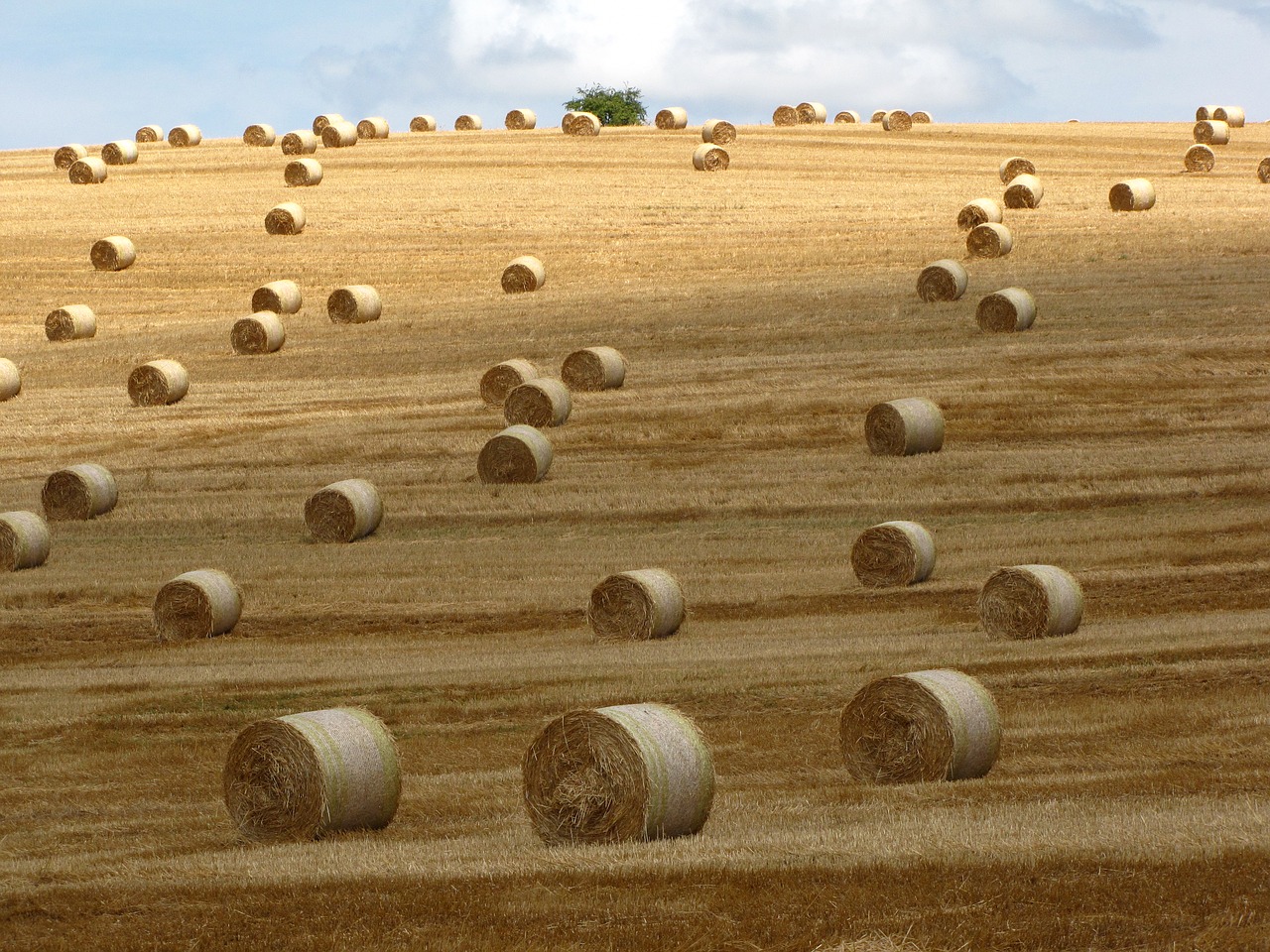 straw bale meadow summer free photo