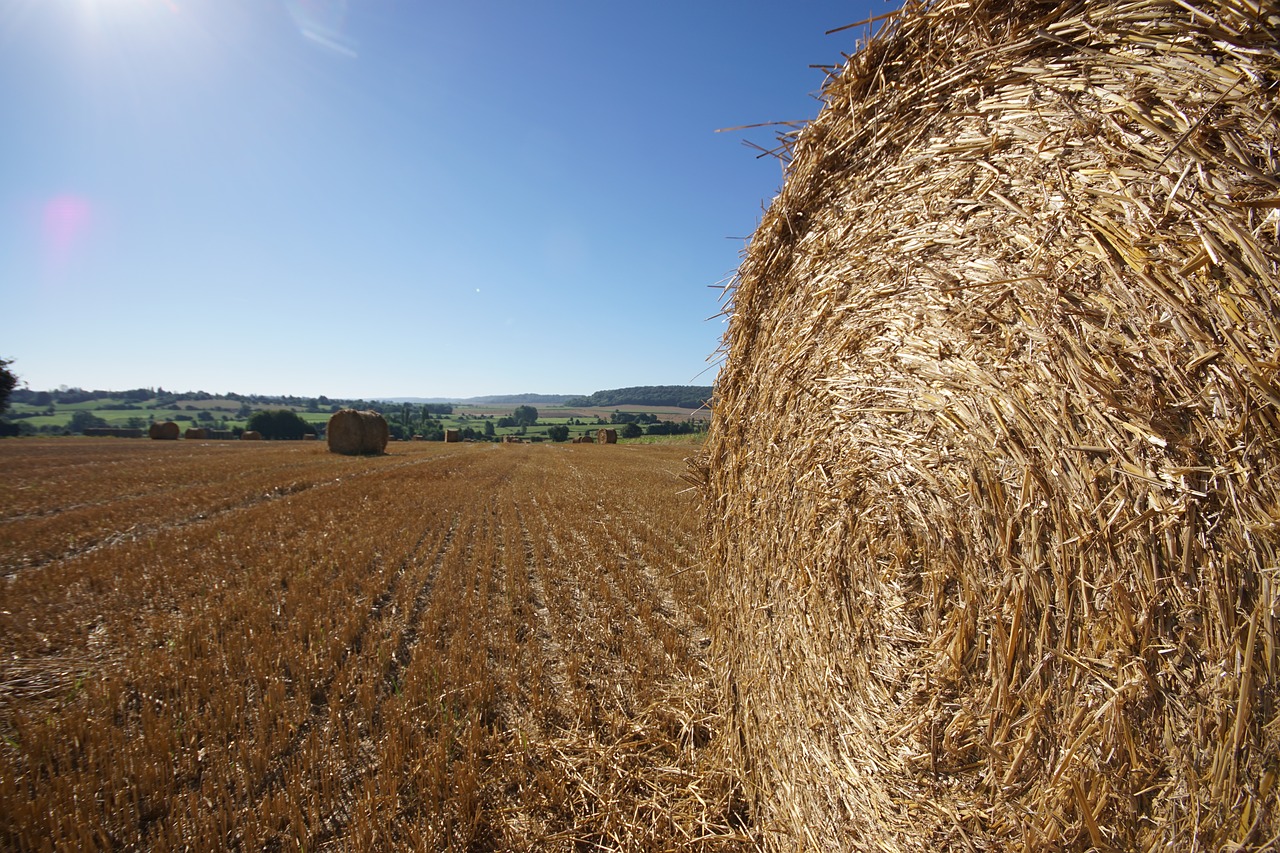 straw bale roller fields free photo