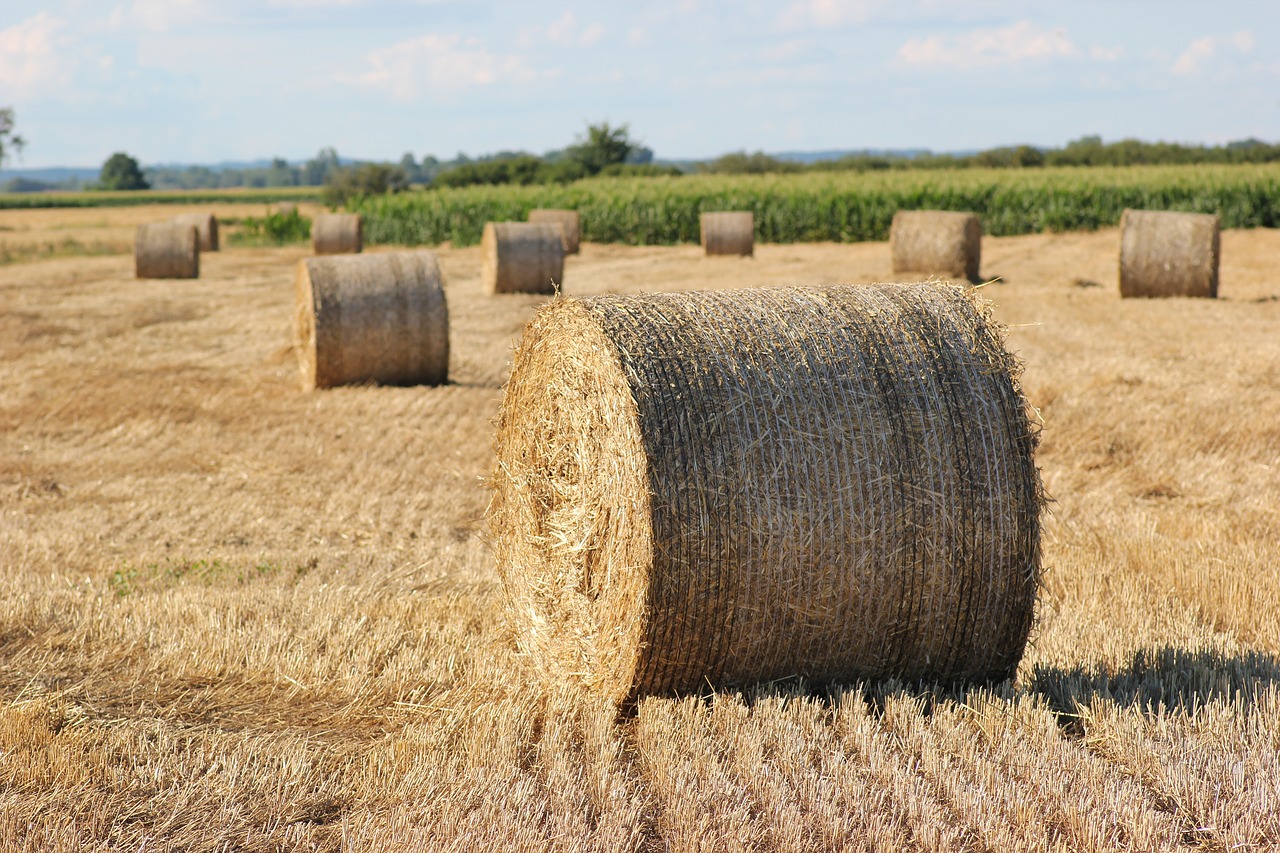 straw bale 1000 kg agriculture free photo