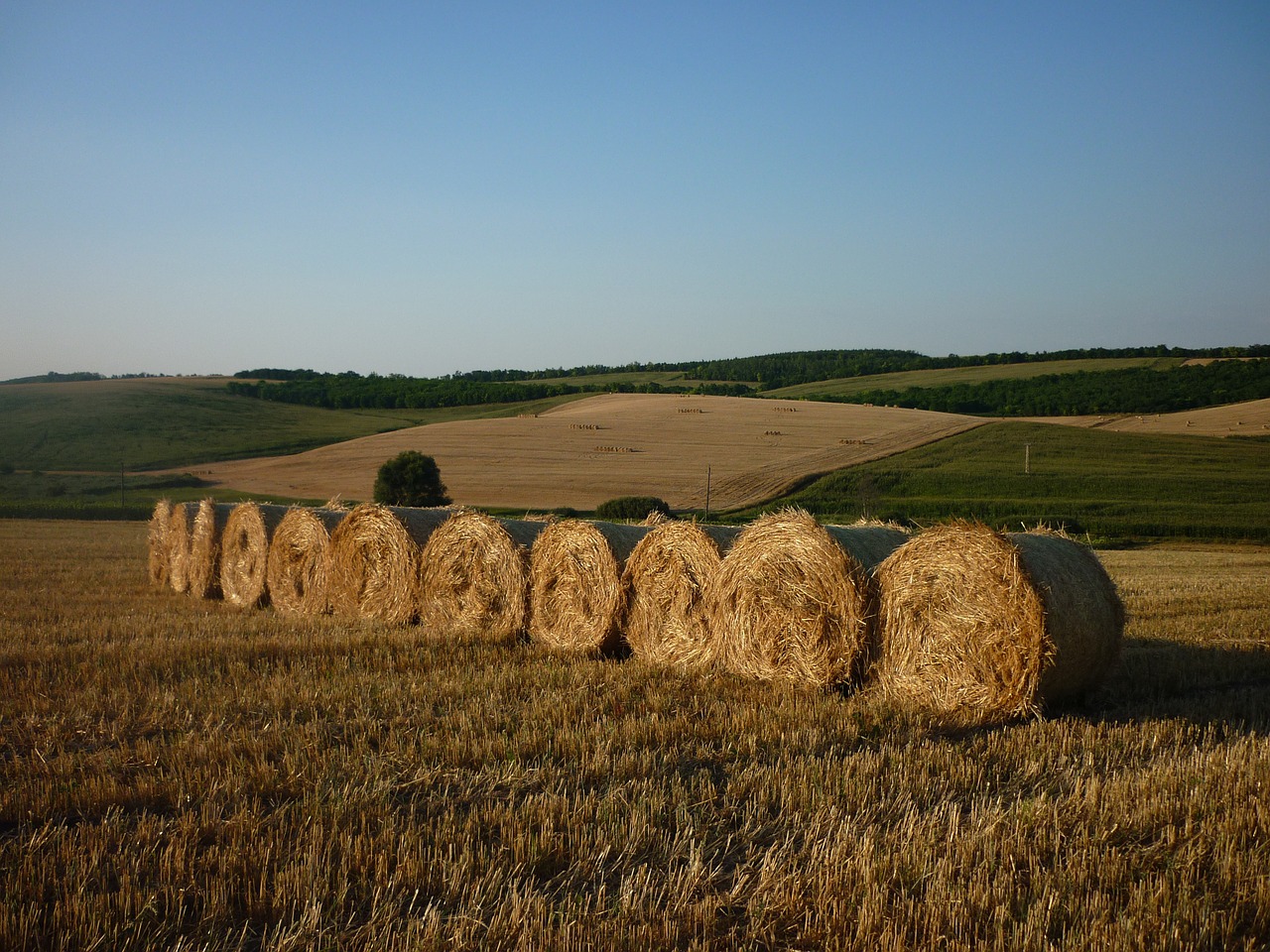 straw bale hill harvest free photo