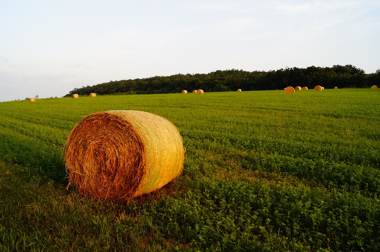 straw bale field meadow free photo