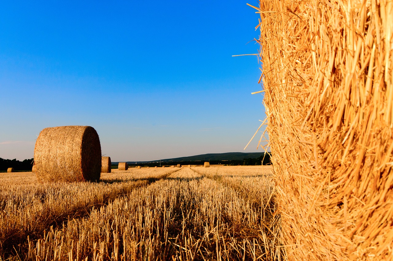 straw bales stubble agriculture free photo