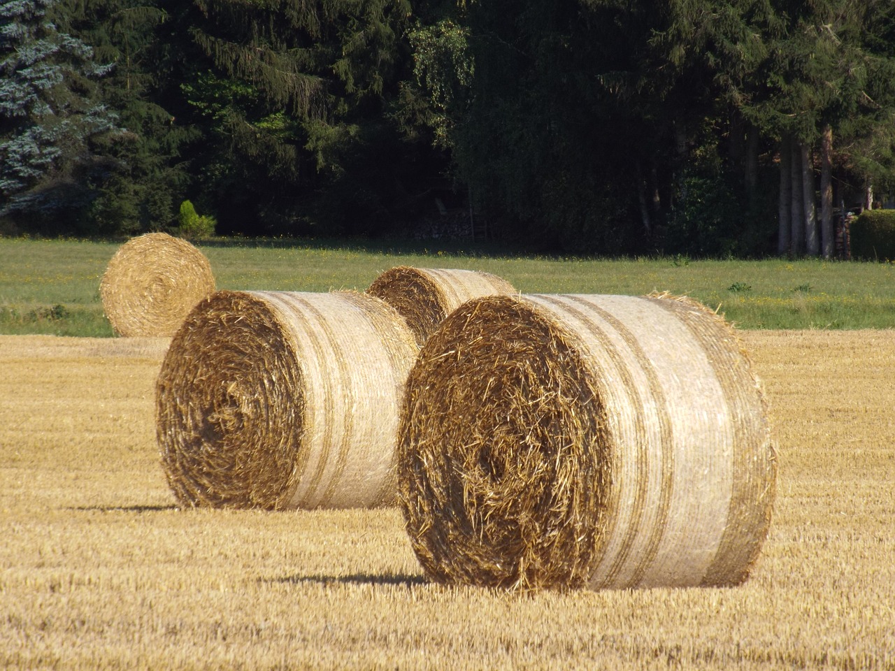 straw bales autumn cornfield free photo