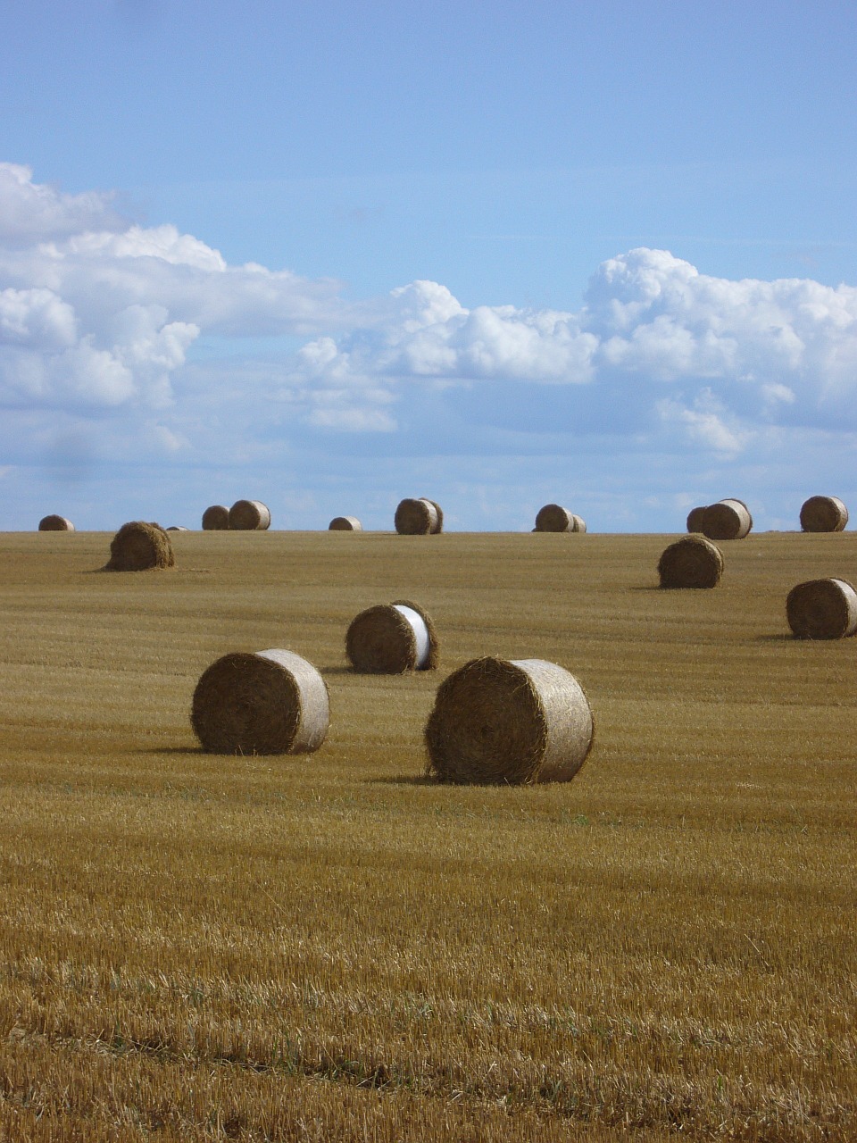 straw bales straw landscape free photo