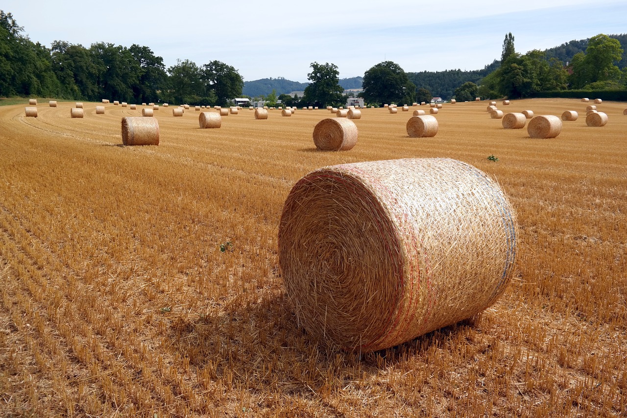 straw bales straw switzerland free photo