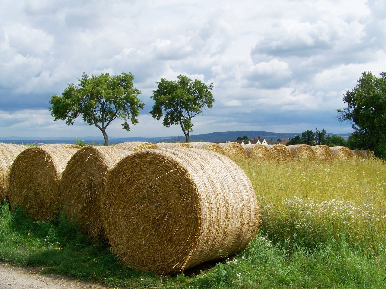 straw bales potential gabonaszár rural landscape free photo