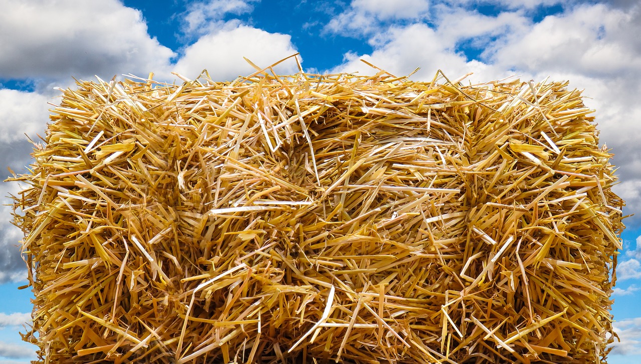 straw bales autumn straw free photo