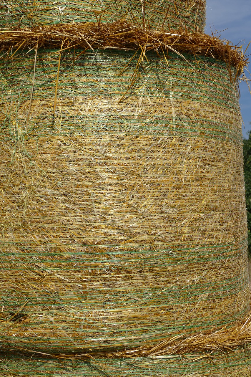straw bales summer nature free photo
