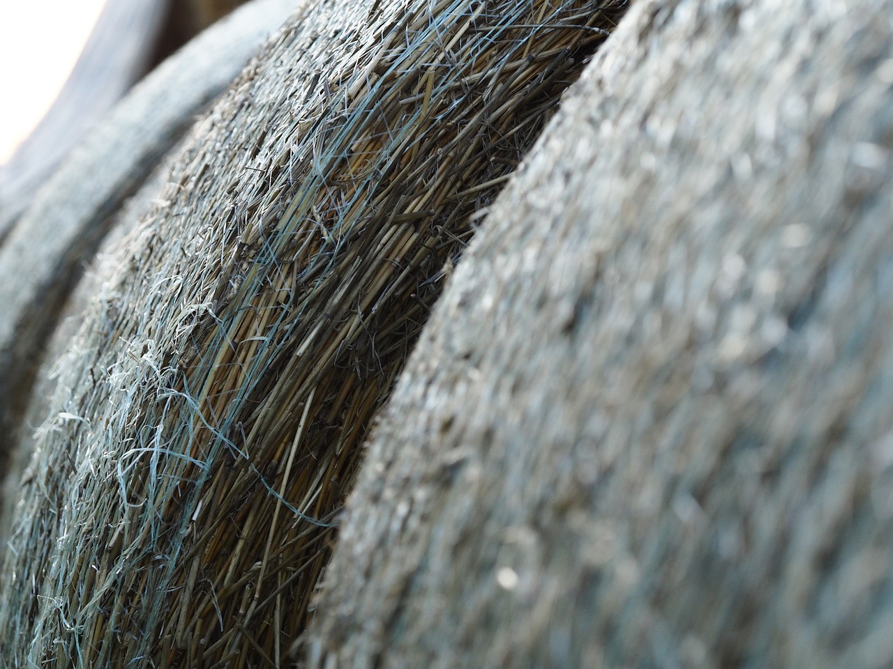 straw bales round bales straw free photo