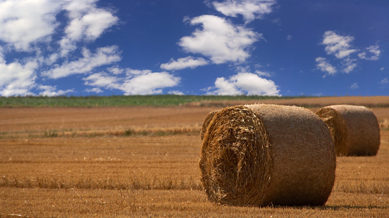 straw bales  arable  meadow free photo