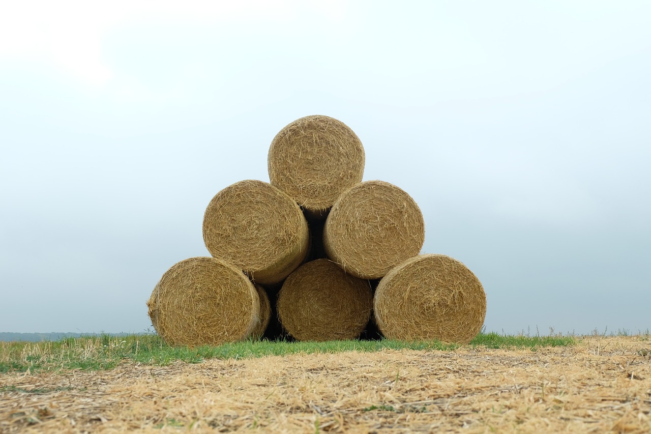 straw bales  landscape  agriculture free photo