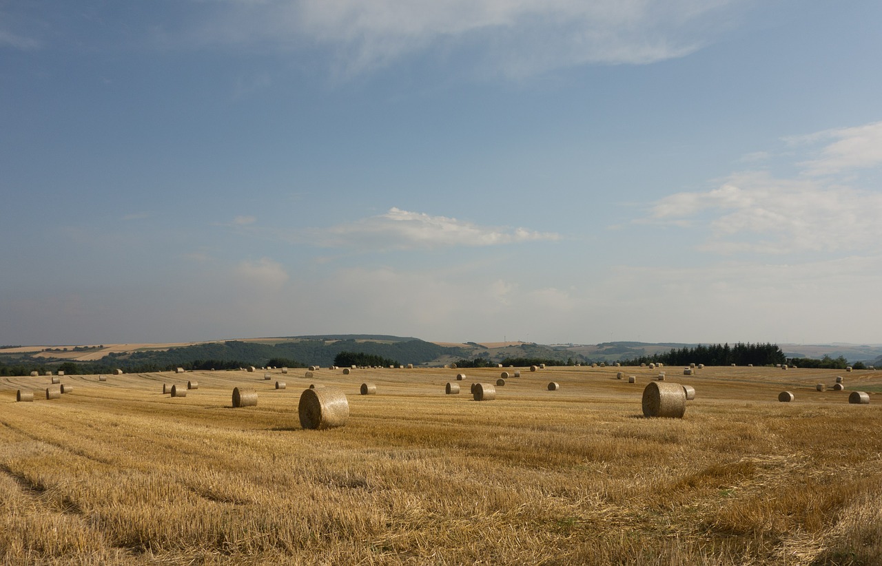 straw bales field meadow free photo