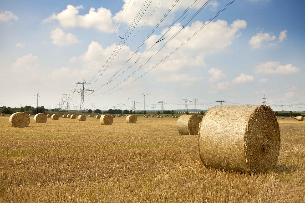 straw bales nature field free photo