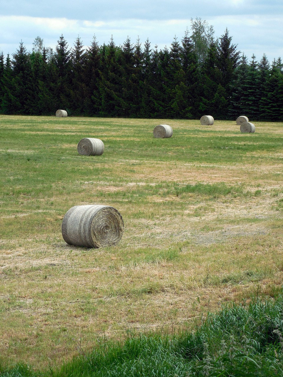 straw bales straw agriculture free photo