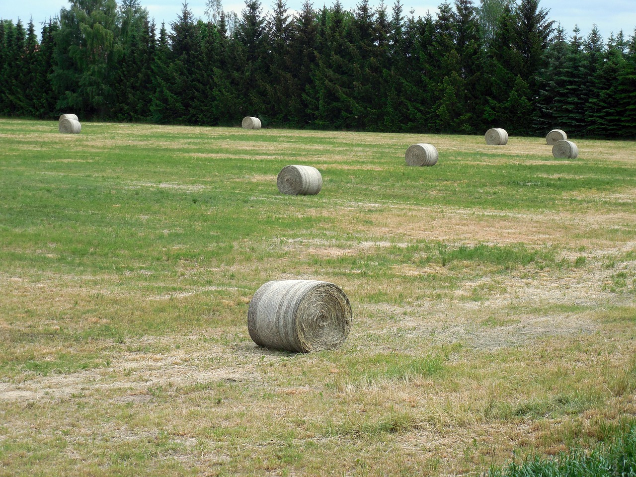 straw bales straw agriculture free photo