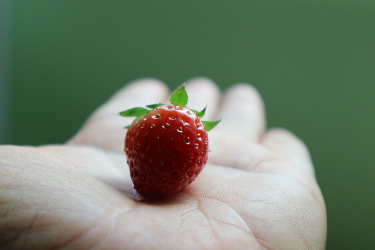 straw berry  fruit  red free photo