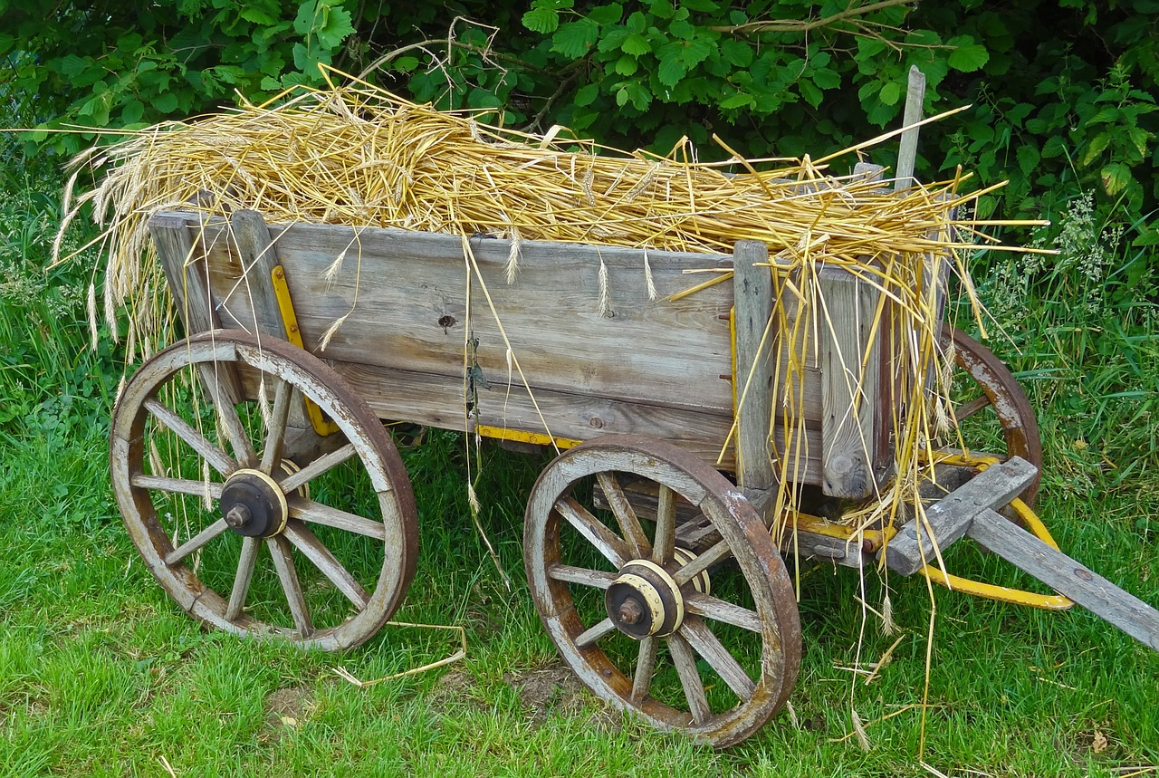 straw carts straw car routes free photo