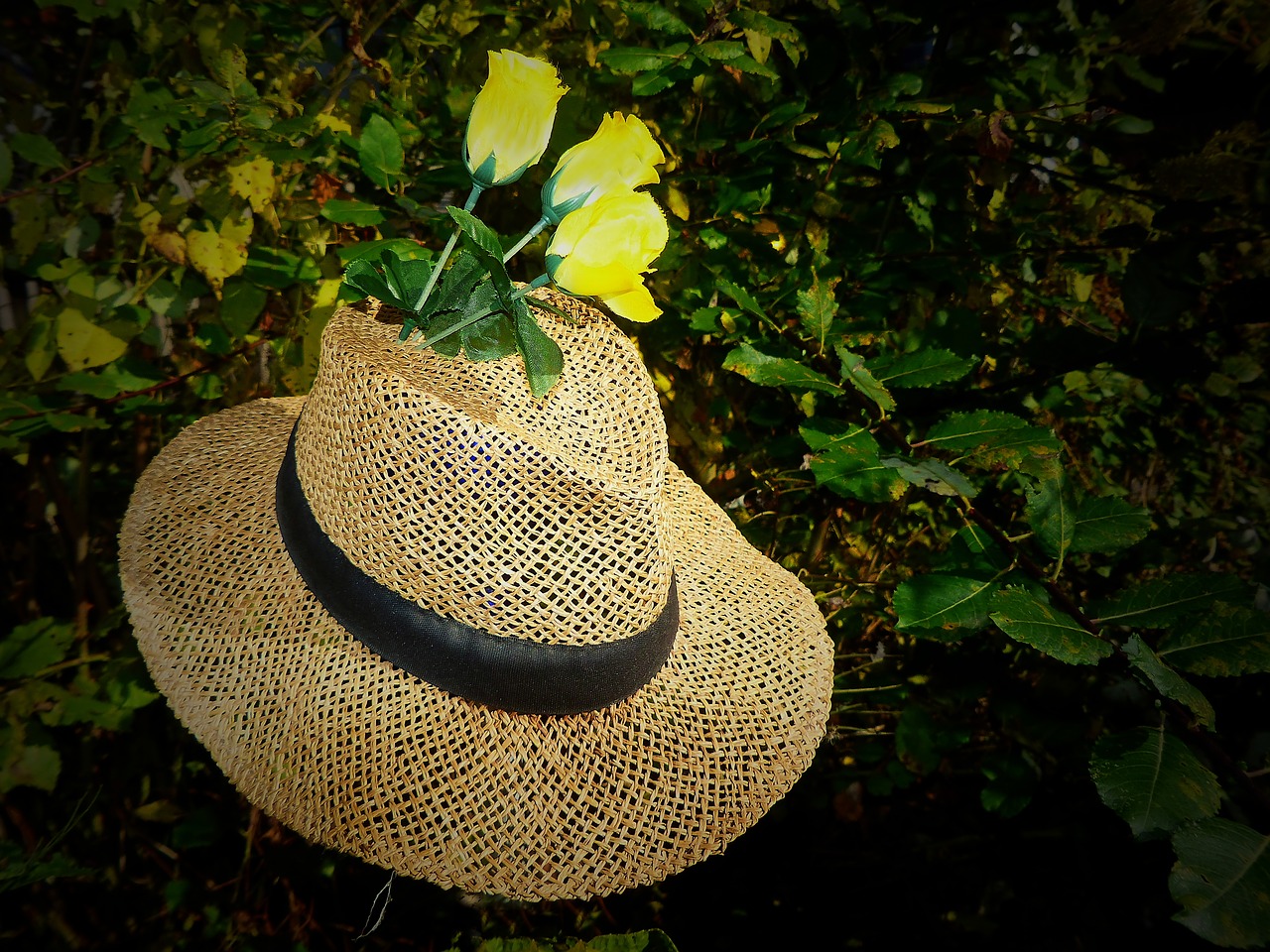 straw hat hat sun hat free photo