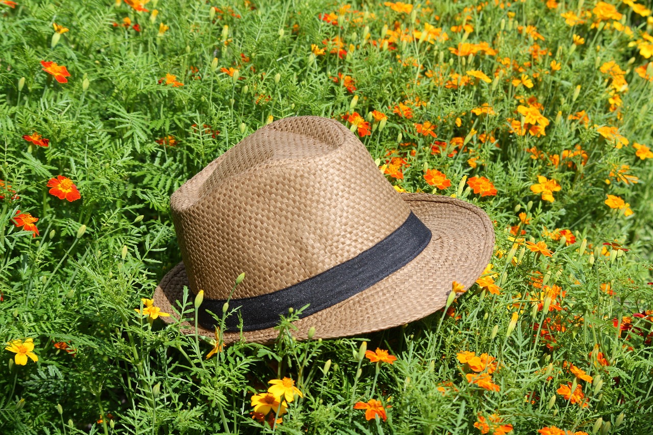 straw hat cornflowers park free photo