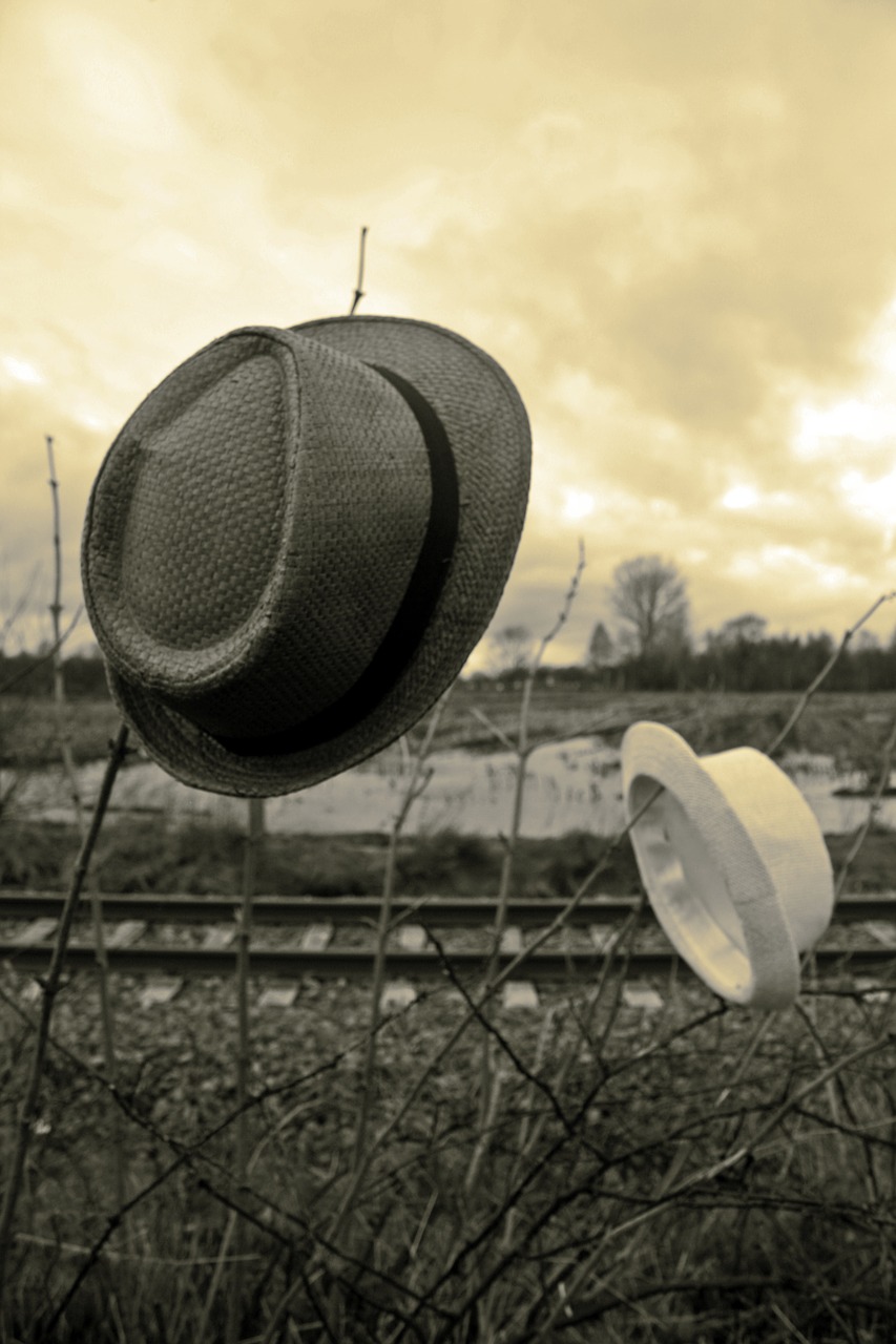 straw hat pair sky free photo