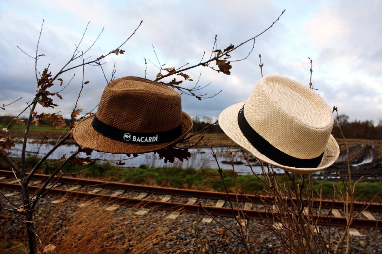 straw hat pair moor free photo