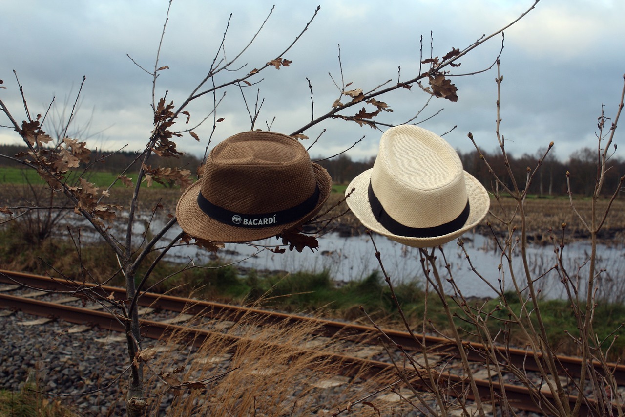 straw hat  moor  teufelsmoor free photo