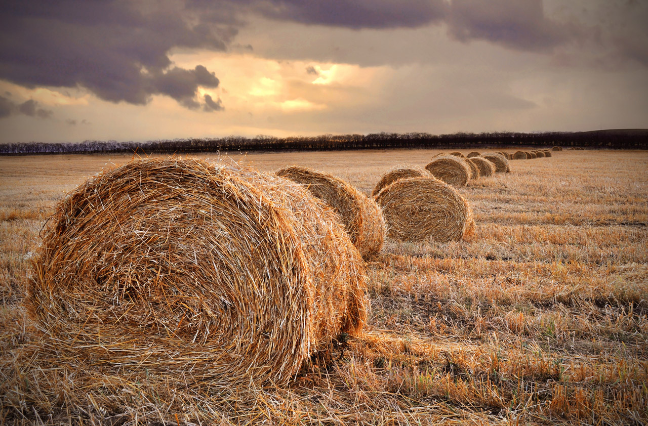 parcel field landscape free photo